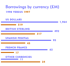 Borrowings by currency